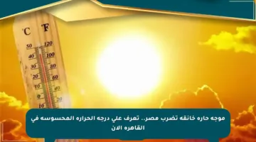 موجة حارة خانقة تضرب مصر.. تعرف على درجة الحرارة المحسوسة في القاهرة الآن